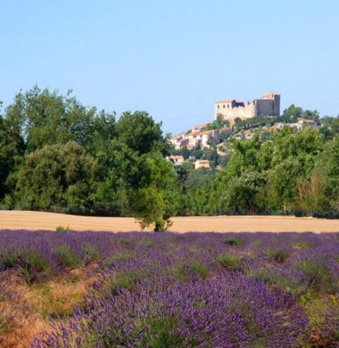 Le Provence Apartment Gréoux-les-Bains Екстериор снимка